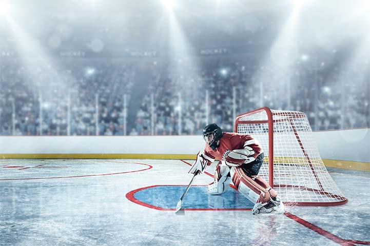 Hockey goalie in a stance in front of the net