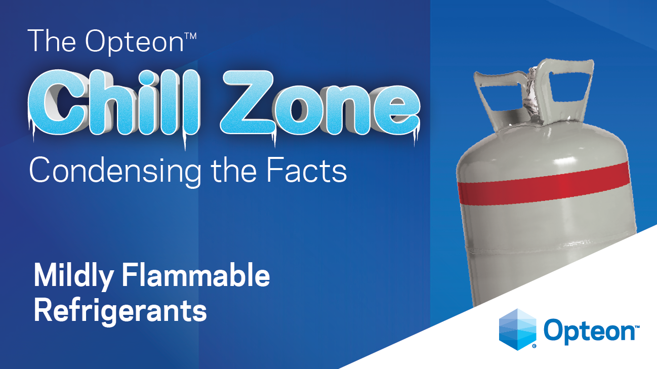 Chill Zone Distributor Webinar August 2024
